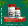 Divya Denguenil Vati 80 Tabs