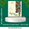 Patanjali Secerets of Indian Herbs - Plant Guide