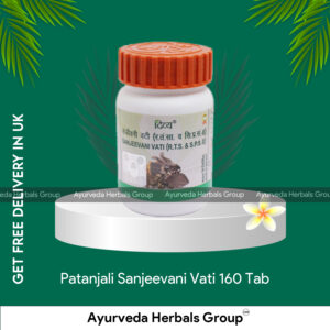 Patanjali Sanjeevani Vati 160 Tab