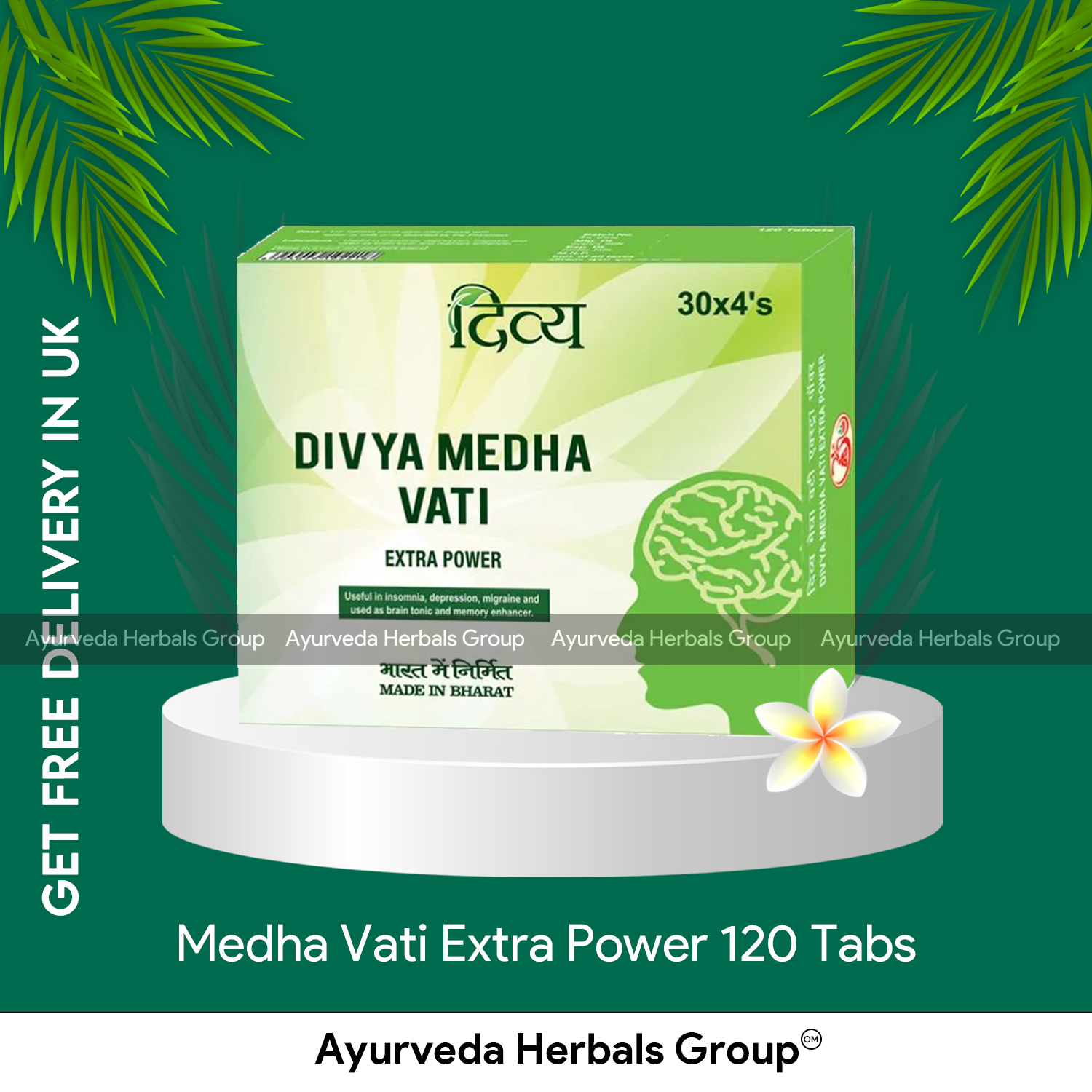 Medha Vati Extra Power 120 Tabs - Ecobay Herbals