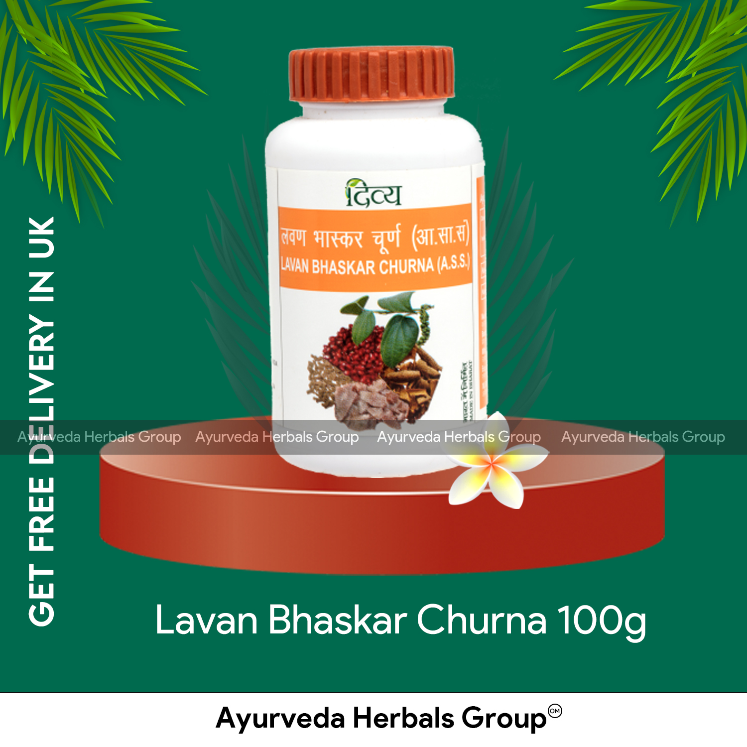 Patanjali - Lavan Bhaskar Churna 100g - Ecobay Herbals