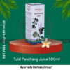 Patanjali Tulsi Panchang Juice 500ml