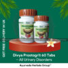 Patanjali Prostogrit 60 Tabs