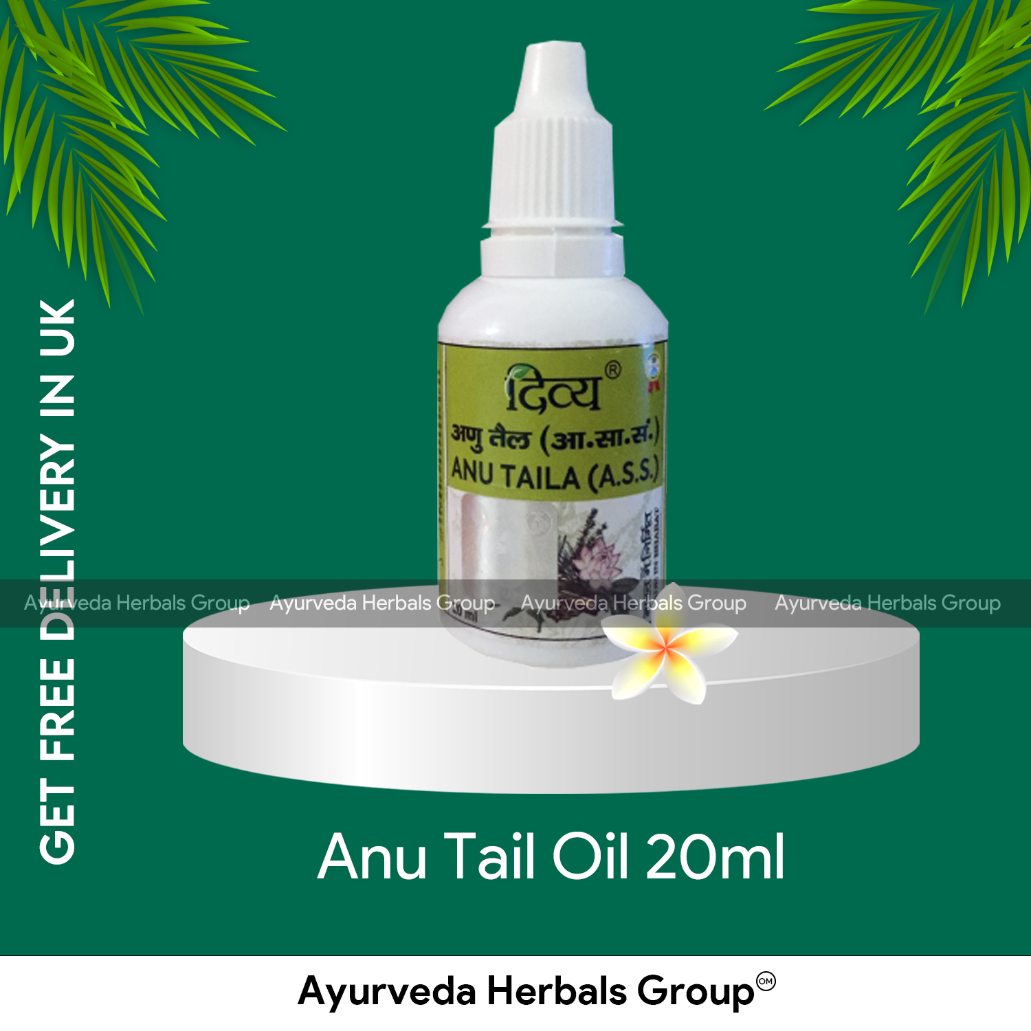 Patanjali Anu Tail Oil 20ml - Ecobay Herbals - Ayurvedic store in