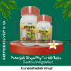 Patanjali PhyTer 60 Tabs