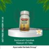 Baidyanath Gandhak Rasayan 40 Tabs
