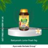 Baidyanath Junior Prash 1kg