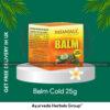 Patanjali Balm Cold 25g