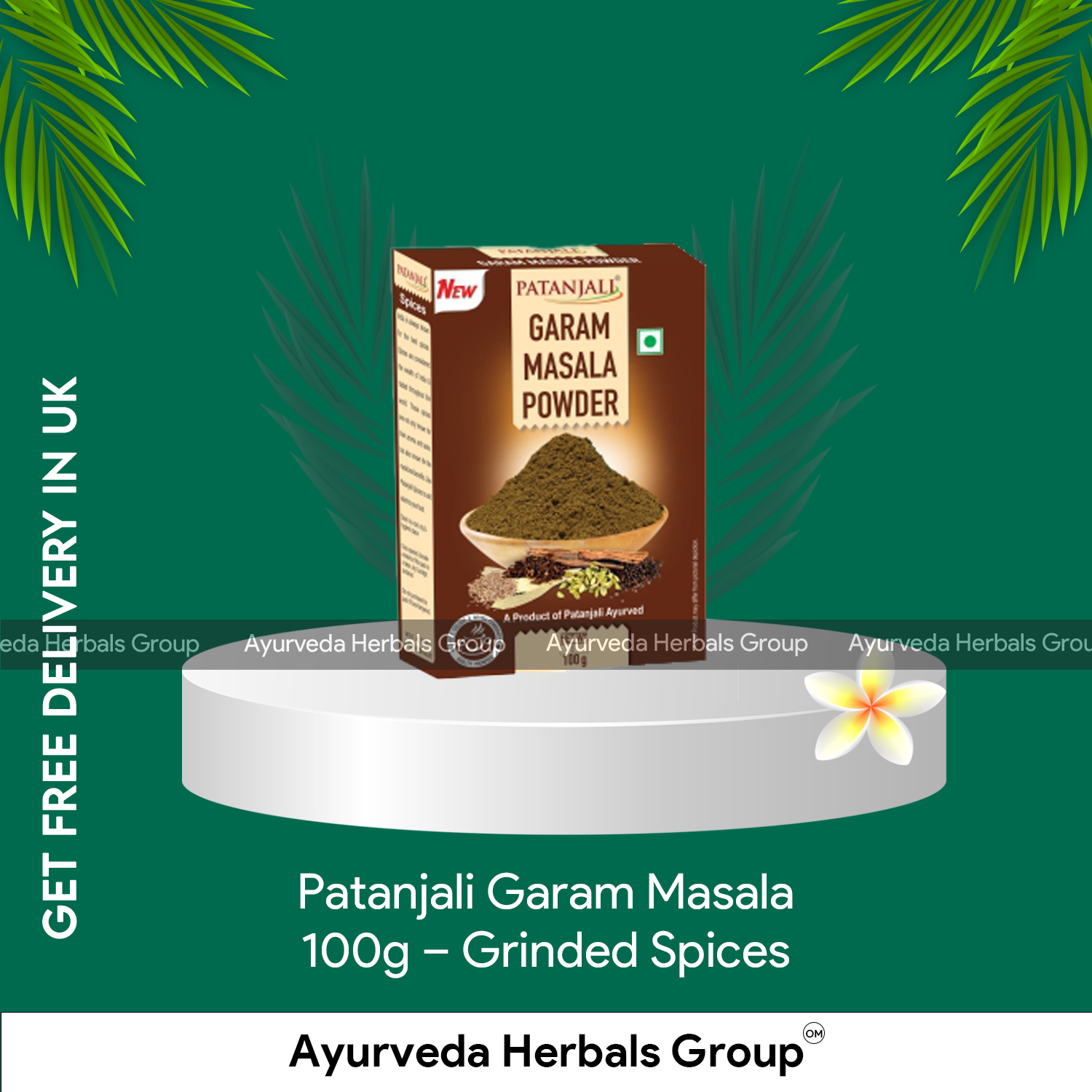 Patanjali Garam Masala 100g - Grinded Spices - Ecobay Herbals