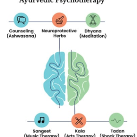 Ayurveda and the Mind-Body Connection