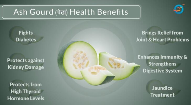 ash-gourd-buy-online-ash-gourd-vegetable-online-fruitssupplier