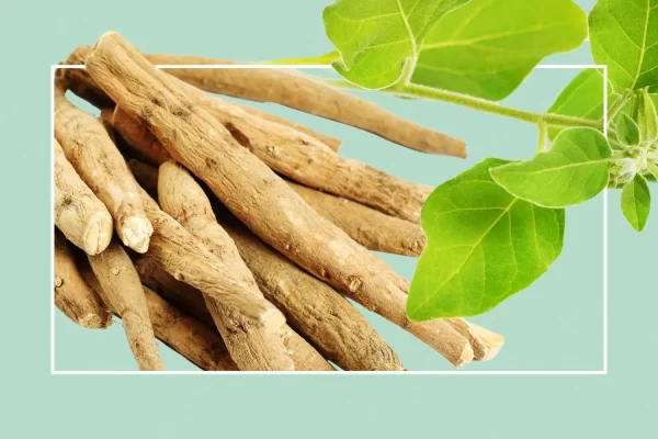 9 Most commonly used Ayurvedic herbal supplements