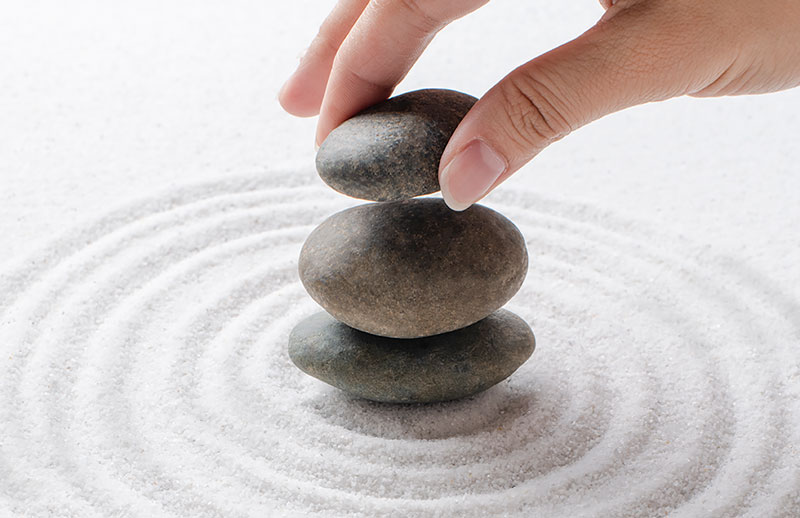 Ayurveda and Mental Health Balancing the Mind