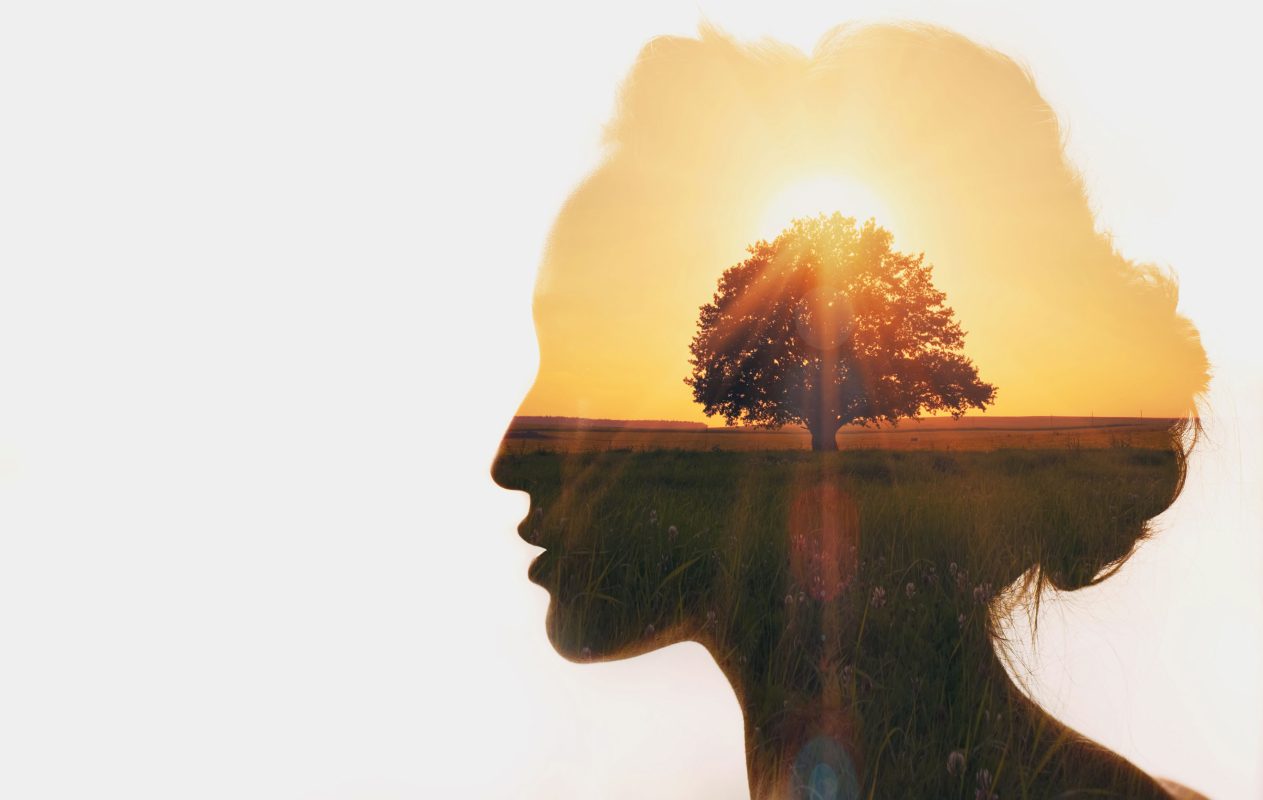 Ayurveda and the Mind-Body Connection